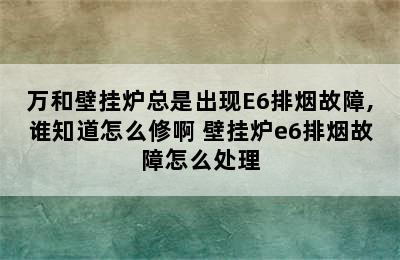 万和壁挂炉总是出现E6排烟故障,谁知道怎么修啊 壁挂炉e6排烟故障怎么处理